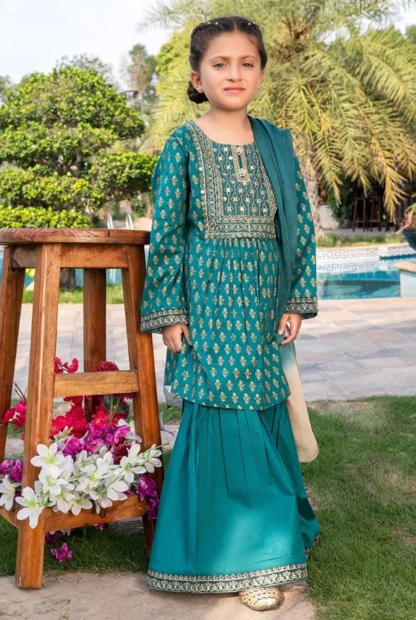 Traditional Pakistani Party Wear Ideas for Kids